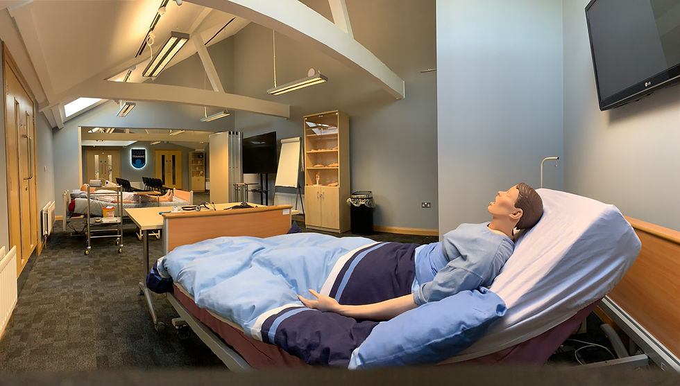 Patient Simulator