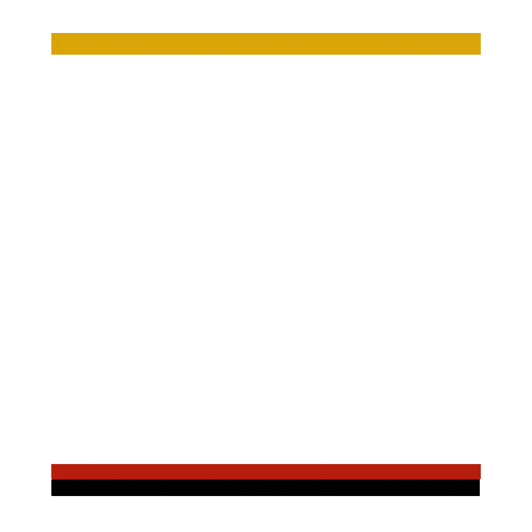 Panels GIF - Canva.gif