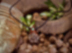 Thumbnail: Glücks Geode  Türkis