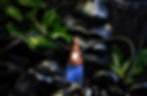 Thumbnail: Opalith    Abalone(Perlmutt)