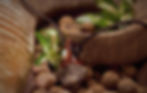 Thumbnail: Glücks Geode  Opalith