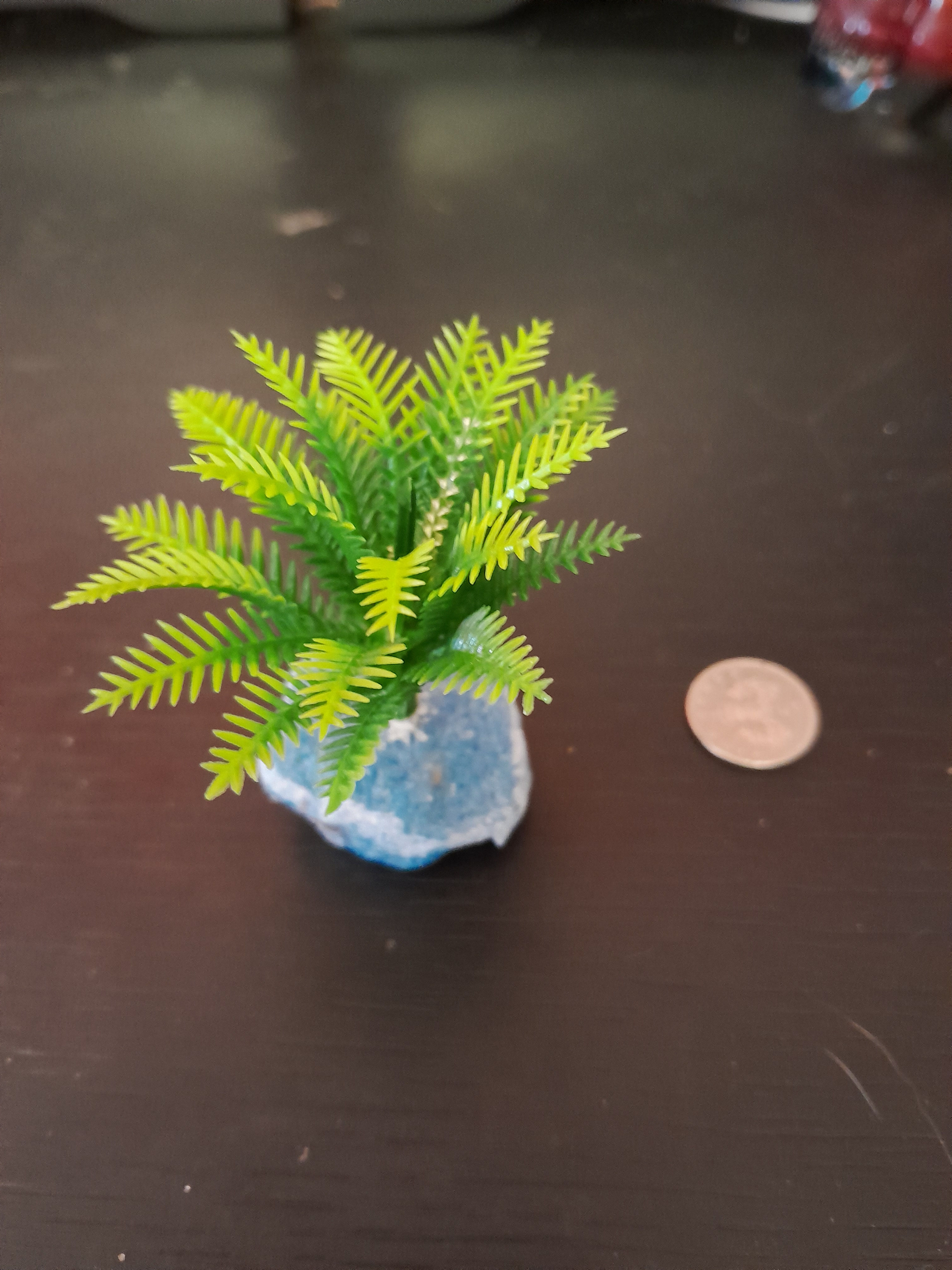 Hand crafted Small plastic plant on sand base 