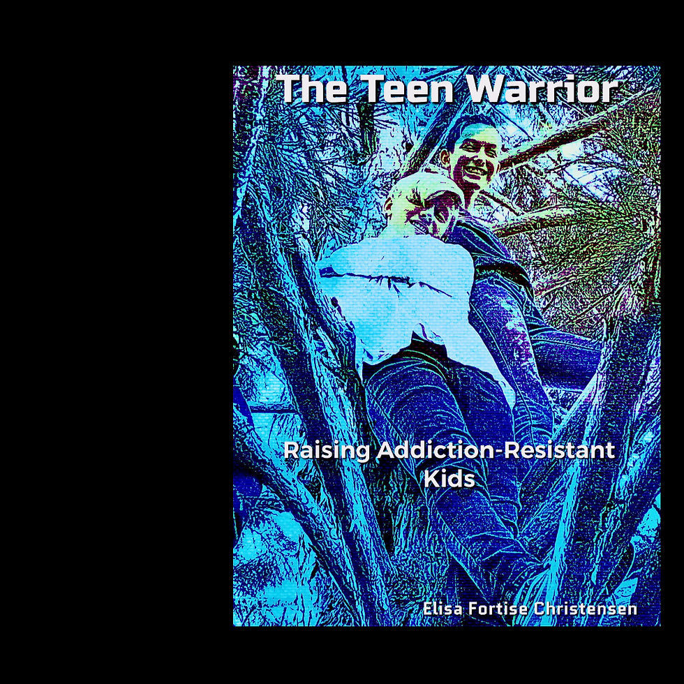 Thumbnail: The Teen Warrior: Raising Addiction-Resistant Kids