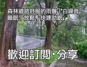 森林道路舒服的雨聲白噪音.png