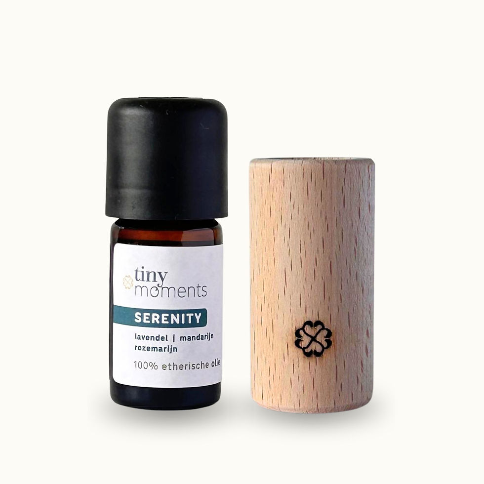 Tiny Moments Diffuser Set Serenity