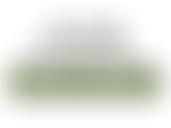 Event Recap: Town Hall Redevelopment Meeting