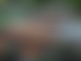 Rutherford Remembers: 9/11 Observance