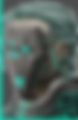 bns070.png