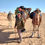 Miniaturbild: Wanderreise Kameltrekking 26.12.26 - 02.01.27 inkl. Flug