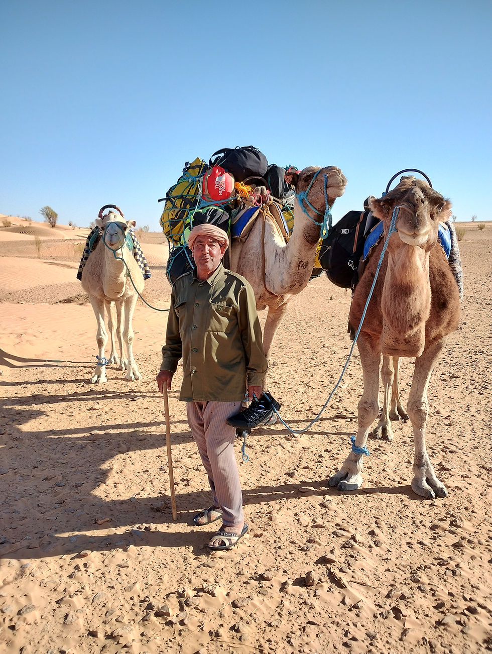 Miniaturbild: Wanderreise Kameltrekking weitere Termine auf Anfrage inkl. Flug