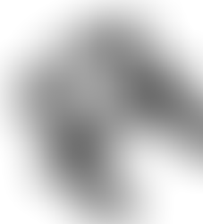 Liegestützgriffe Push Up Stand Bars