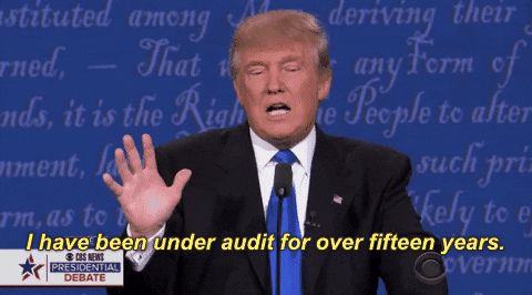 1. audit gif.gif