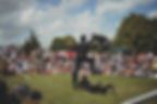 Winchester Hatfair 2015