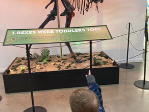 Monmouth Museum- Another Great Indoor Toddler Activity