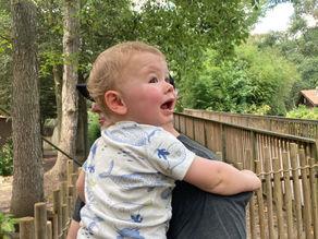 The Cape May Zoo- A Jersey Shore Blessing