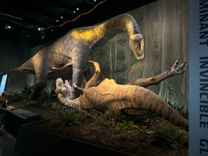 ReCreate Our Adventure Day– Start with the Dinos & End with the Sharks!