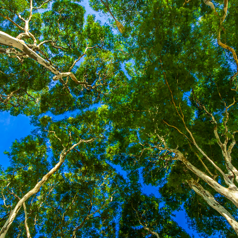 ESG and CSRD: The evolution of sustainable value creation 