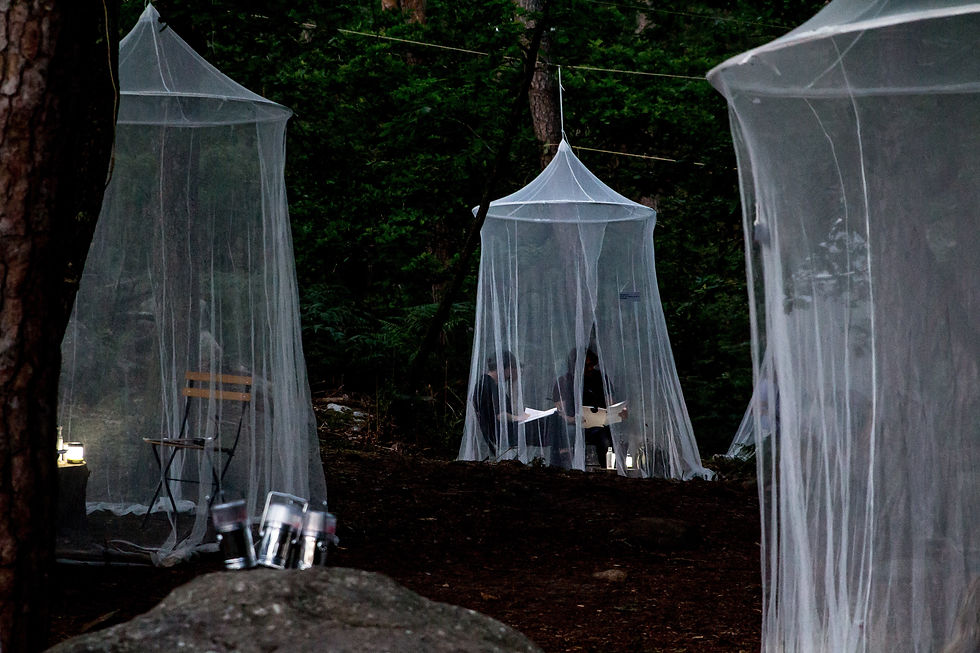 La Nuit des forêts, Fontainebleau 2021