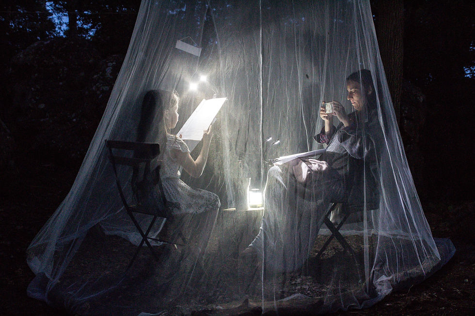La Nuit des forêts, Fontainebleau 2021