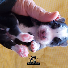 6D79CAAA-01CD-40C4-856D-38FB97E57225.jpe