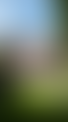 Designing private family estates in London, what UHNW families really value in 2026