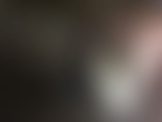 Your Go to Design and Build main Contractor