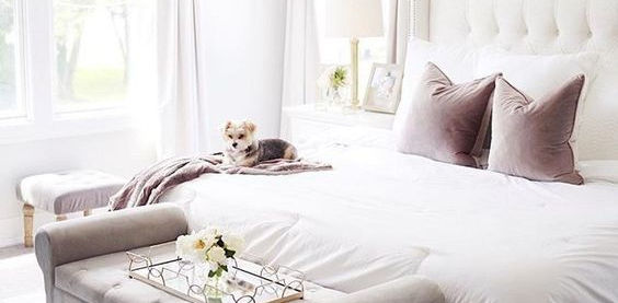 White Paint - How Do I Choose The Right One?