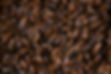 Low Res_230703_Mischa Chander Beekeeper_Christian Tisdale Photography_CTP_1209.jpg