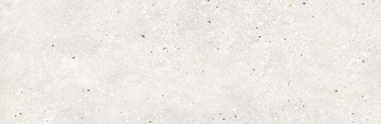 Miniature : AMA BIANCO RECT 40X120