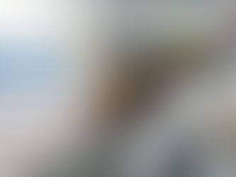 Small Roll, Big Impact: The Power of Consistent Product Labeling