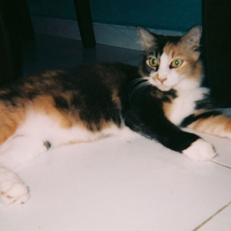 FIRST FILM PHOTOGRAPHY