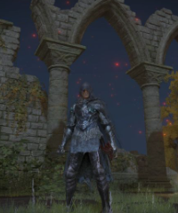 Hidden entrances that are tucked away inside of Elden Ring's map content media