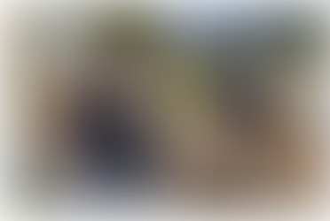 Harwood Middle/High School Family Newsletter 10/2/2020