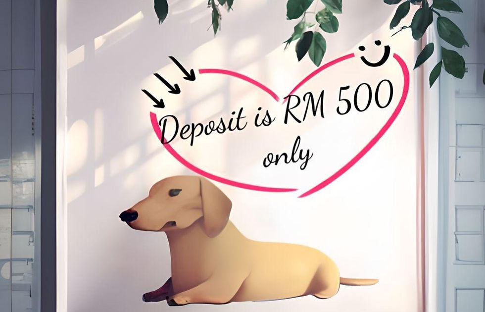Puppy For Sale Malaysia Deposit Term