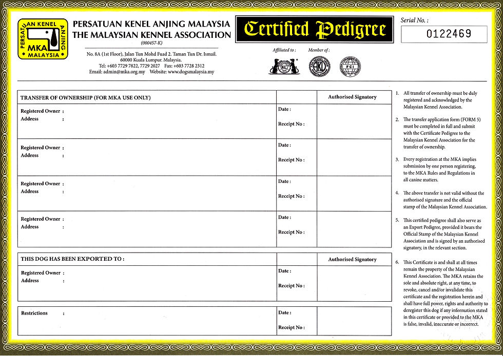 Puppy For Sale Malaysia MKA certificate picture