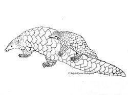 Rajesh Kumar Mohapatra - ABUN