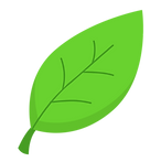 pngtree-cartoon-leaf-illustration-vector-png-image_6644591.png