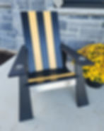 Pitsburg Steelers colours - Black and yellow with Steelers logo on stainless steel front