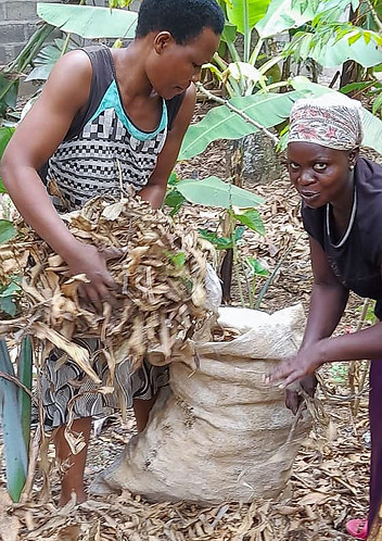 Uganda women support each other in healing and living with HIV/AIDS