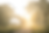 ChatGPT Image Jun 4, 2026 at 06_04_22 PM.png