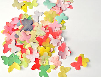 Carte postale papillon_edited.jpg