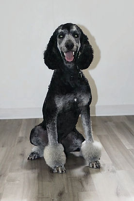 10-28-24 1_edited.jpg