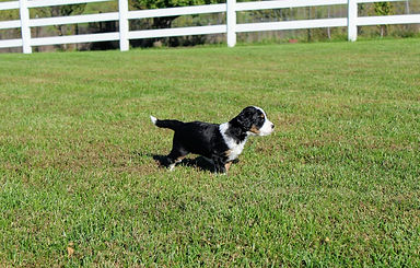 Benjie 5 10-16-18.JPG