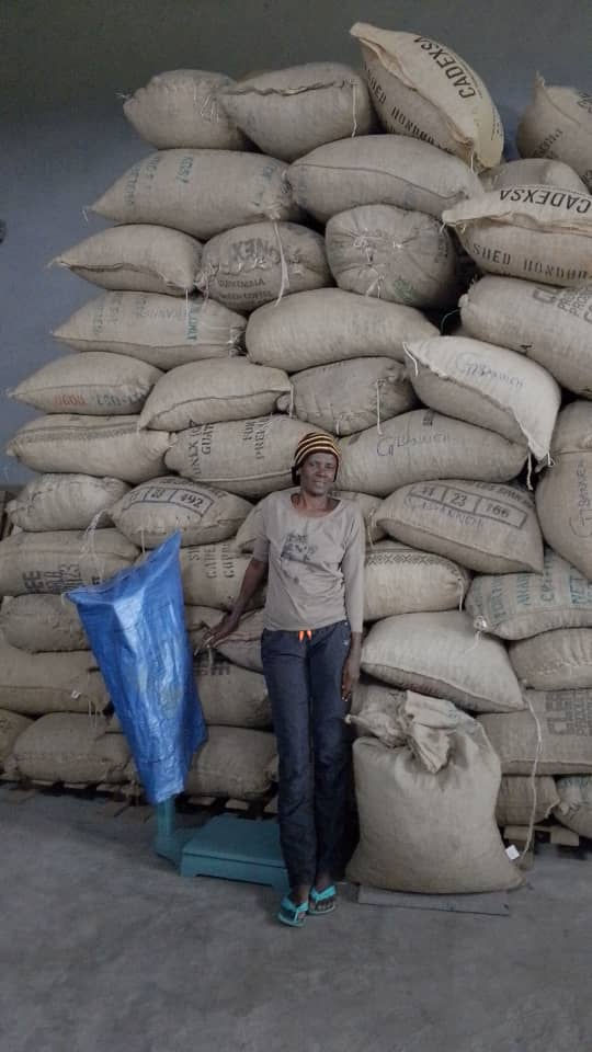 Empowering Women in Cashew Farming: Nianda's Impact