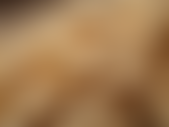 Exploring Nianda's Quality Assurance in Cashew Products