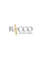 RICCO brand guideline_edited