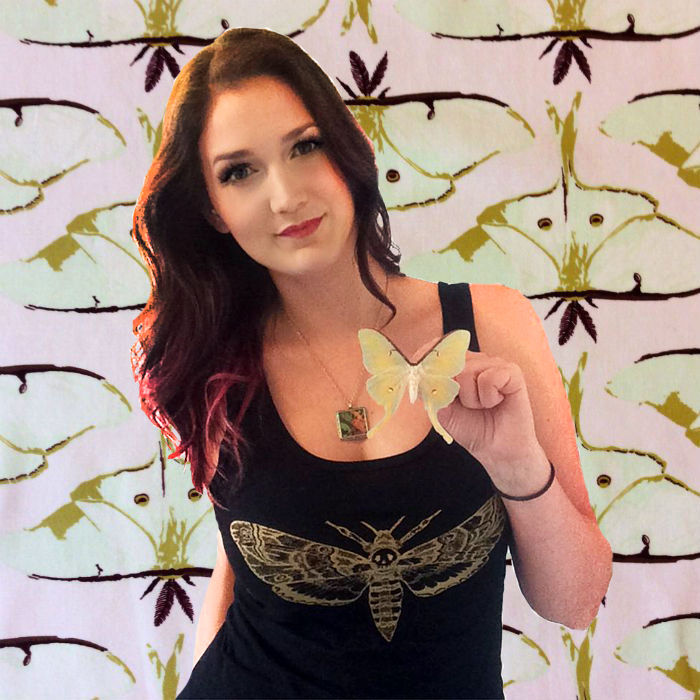 How to Raise & Release Luna Moths!