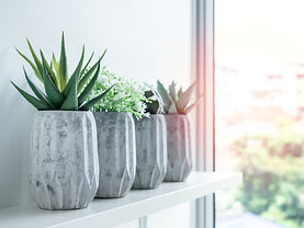 AdobeStock_296235973.jpeg