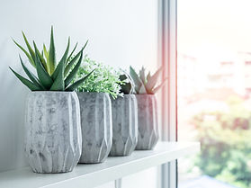 AdobeStock_296235973.jpeg