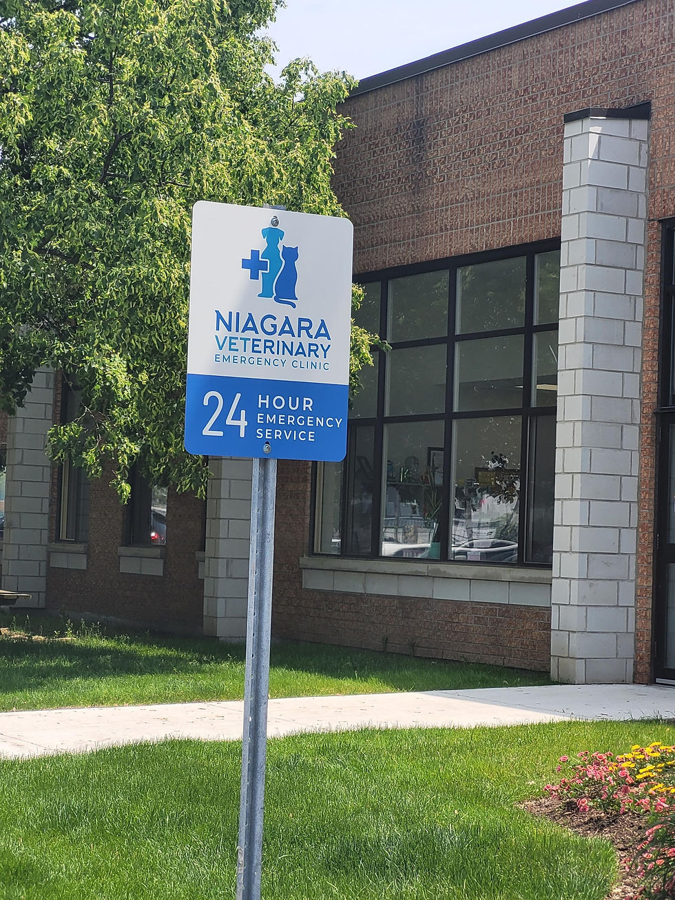 Close-up of the Niagara Veterinary Emergency Clinic logo on a building wall
